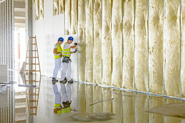 Best Specialized Insulation Services in Pinehurst, NC